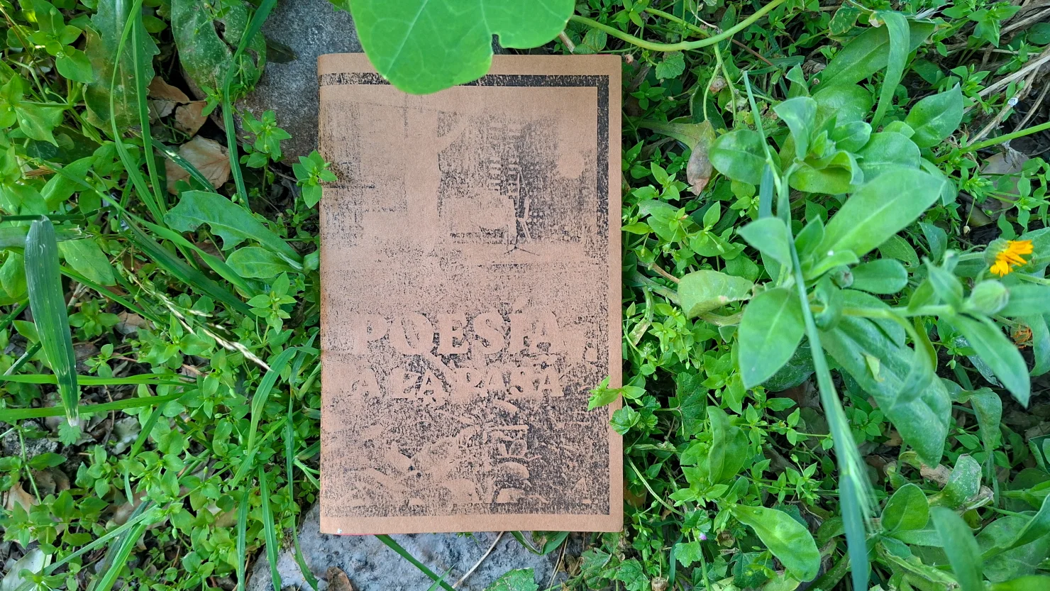Cover of the book lying on grass, with a small yellow flower beside it